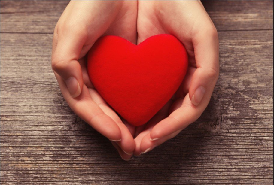 Romance On Demand. About Love Passion & Adults Playtime